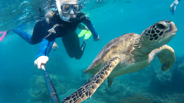ostküste australien highlights und geheimtipps