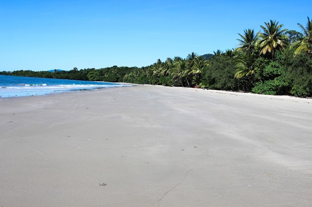 cape tribulation strand