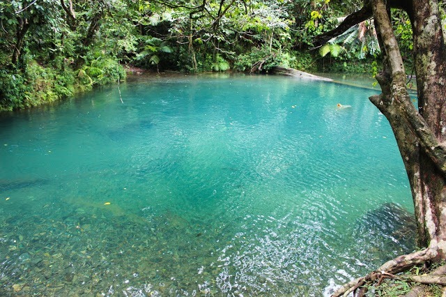 blue hole cape tribulation