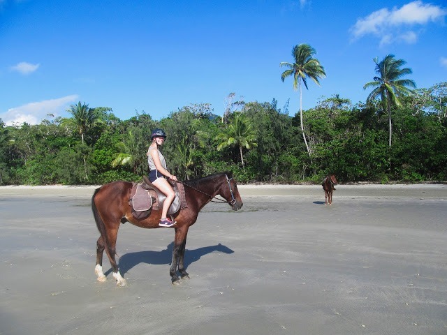 cape tribulation ausreiten