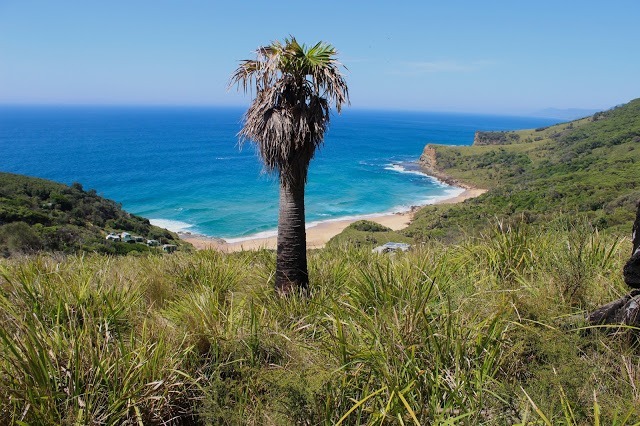 ostküste australien must see