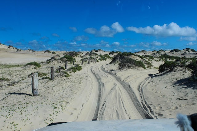 ostküste australien 4 wochen